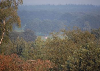 Herfst op de Holterberg natuurdiorama 